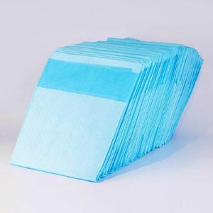 Tapis d'apprentissage jetables pour chiots et chiens, taille extra large, séchage rapide, six couches de film PE, super absorbants - Product Image 2