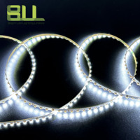 Corps en cuivre de bande de LED flexible DC12V 5mm 120 Leds 3014 avec émission latérale IP20 pour la publicité