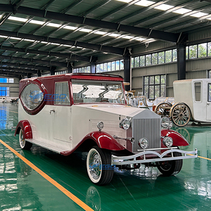 2025 Economic Red and White Funeral Hearse Hearse Trailer Funeral Car Motorcycle Hearse Factory Price Low Sale - Product Image 3
