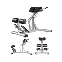 Vente chaude Équipement De Fitness Gym Utiliser Machine Équipement D'exercice De Gymnastique Commercial Banc D'extension Arrière Chaise Romaine