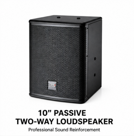 10 Inch Passive Two-Way Speaker 350W RMS 93dB Sensitivity, Professional Audio Karaoke Speaker System