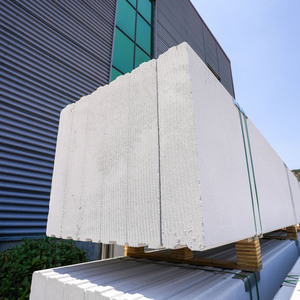 Ligne de production automatique de panneaux en béton cellulaire autoclavé et de blocs de mortier léger à base de cendres volantes pour l'usine AAC en Algérie - Product Image 4