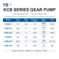 KCB 33.3 Selbstansaugende Zahnradölpumpe 33,3 LPM 1,45 MPa 2,2 KW 304 Edelstahl Zahnrad Chemikalienbeständige Schmierpumpe