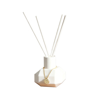 Diffuseur de parfum en verre de 50 ml, écologique et sans alcool, parfum longue durée, décoration luxueuse pour la maison