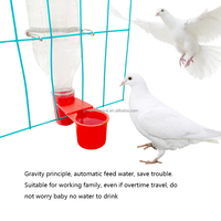 Abreuvoir en plastique YCZ pour pigeons, volailles et cailles