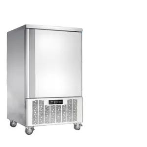 Big capacity ice cold room cold room solar freezer blast cabinet freezing seafood