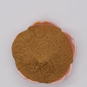 Venta al por mayor Extracto de hierbas Rheum Palmatum Raíz en polvo 10:1 Polvo de extracto de ruibarbo chino - Product Image 2