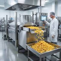Ligne de friteuses industrielles certifiées CE pour noix, maïs, chips de banane, poulet, crevettes, fèves, en acier inoxydable 304