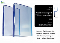 Vitrine Réfrigérée Verticale pour Crèmes Glacées Marque WICE, Matériau en Acier Inoxydable de Haute Qualité, Réfrigérateur à Crèmes Glacées