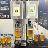 Machine à bière automatique 60L, distributeur de bière commercial de comptoir, réglage de la capacité, en acier inoxydable, double tête, pour bière pression professionnelle