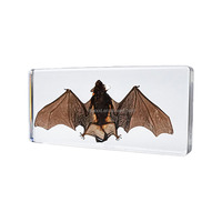 Peur Halloween Holiday House Décoratif Vraies chauves-souris Intégrées dans une décoration en poly résine