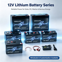 Baterai LiFePO4 12V 60Ah Siklus Dalam untuk Penyimpanan Energi Surya, Cadangan Rumah Off Grid, RV, dan Berkemah