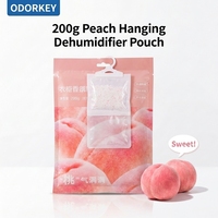 200g Sachets déshumidificateurs solides jetables, écologiques, portables, OEM usine, absorbants l'humidité et anti-moisissure