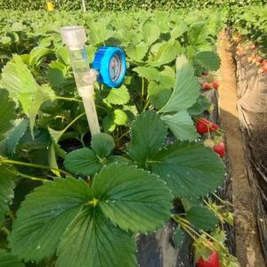 Tensiomètre de sol portable à bas prix Testeur d'irrigation Ergomètre de sol - Product Image 6