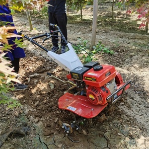 HangKangCM LF-170 Motocultor Agrícola Pequeño con Motor Diésel/Gasolina, Tipo Andador, Microcultivador para Invernadero - Product Image 1