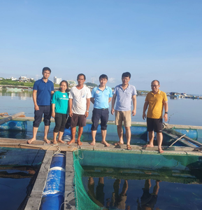 Promotion : Cages flottantes en PEHD pour aquaculture en eau de mer, filets anti-oiseaux pour prédateurs, élevage de Tilapia, haute résistance et durabilité - Product Image 2