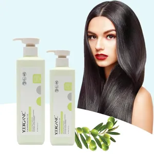 Shampooing naturel sans sulfate et après-shampoing à l'huile d'argan pour cheveux secs et abîmés traitement
