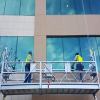 Plataforma de Limpieza de Ventanas ZLP800 ZLP1000, Plataforma Suspendida, Andamio Suspendido, Reparación de Paredes Exteriores de Hoteles