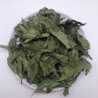 Bo He Ye Vente en gros de produits sains Feuilles de menthe verte pour le thé Feuilles de menthe séchées pour le thé