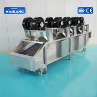 Máquina Multifuncional Personalizable para la Producción de Frutas y Verduras: Lavado, Corte, Escaldado y Congelación
