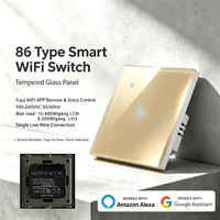 Interruptor Táctil Inteligente WiFi Tuya con Cable VIVO Único, Cableado Seguro, Marco de Hierro, Panel de Vidrio Templado, 100-240V, Control por Voz Google Alexa