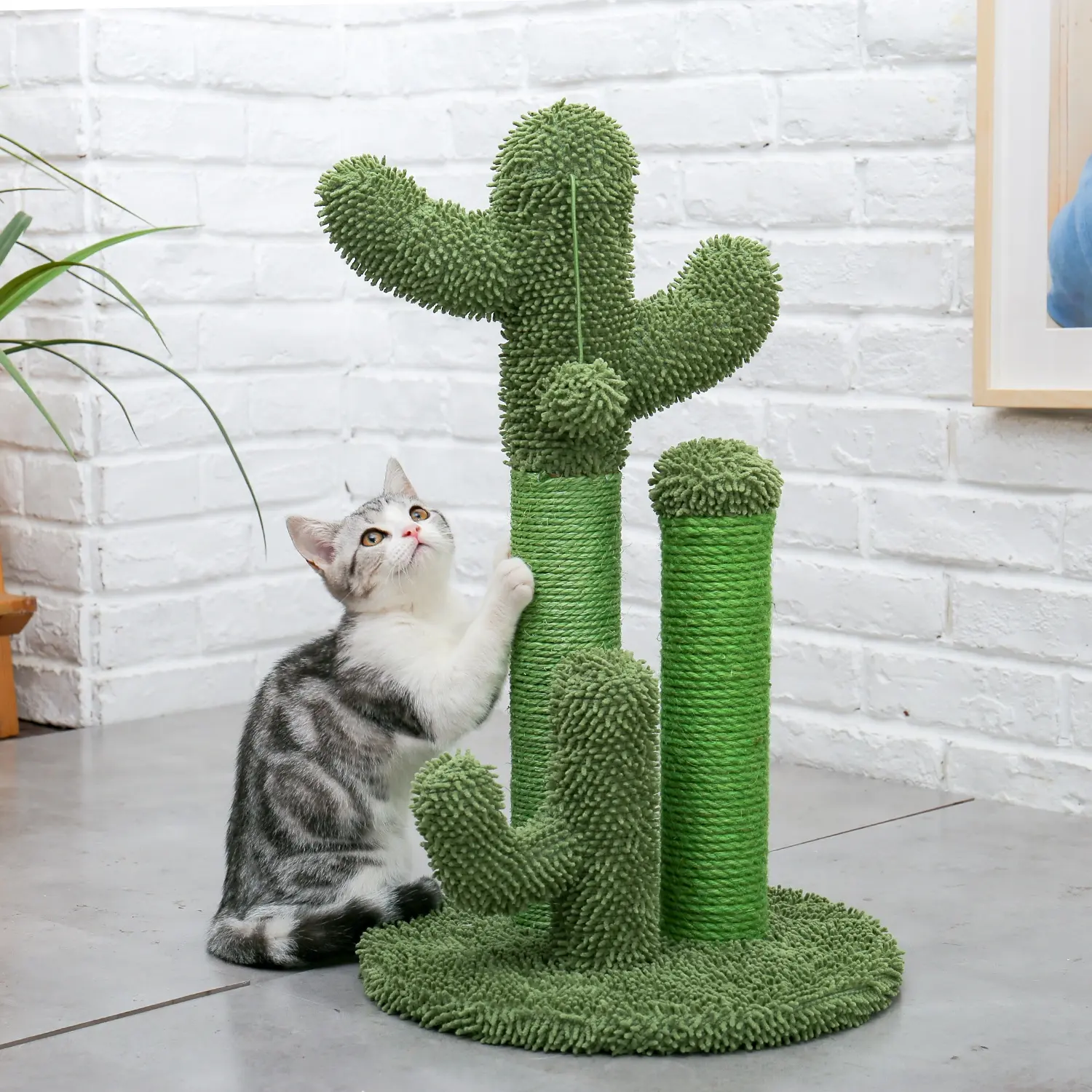 Surtido moderna Cactus gato del árbol rascador 3 de gato puestos verde