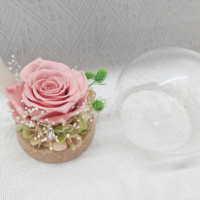 Miniature de rose naturelle conservée, mini-rose dans l'herbe, cadeau pour la fête des mères et des pères, prix d'usine