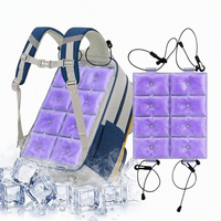 Sac à dos personnalisé grand format 26*22.5cm avec coussin de gel PCM pour sacs à dos, pack de glace réutilisable pour un refroidissement longue durée, idéal pour les voyages et les sièges de voiture