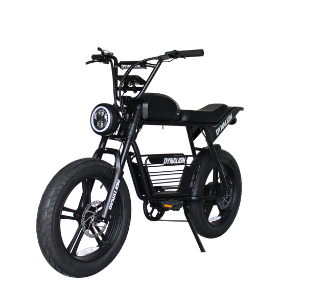 Electric Bike Long Range Fat Tire Electric Cycles for Men Other Electric Delivery Bike 750W
