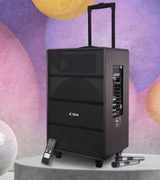 CM-1201 Hochleistungs 15-Zoll-Trolley-Lautsprecher Tragbarer Outdoor-Bühnen-Karaoke-Lautsprecher mit Großem Bass OEM ODM