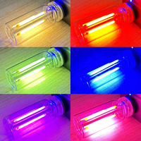 Ampoule LED à filament rétro USB avec variateur tactile 5V, ampoule LED Edison rétro, veilleuse, éclairage décoratif LED pour le camping