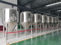 Fermenteur industriel Hermann 500L 1000L 1500L SUS304 pour la fermentation de la bière avec une utilisation facile