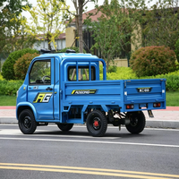 Elektrischer Kleiner Pickup-Kipper mit Hydraulischer Hebevorrichtung, Batteriebetrieben, für Geländeeinsatz und Landwirtschaft
