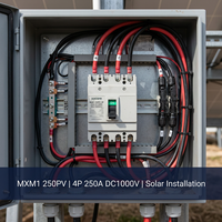 Yycore YYM1 125PV 2P 125A DC 500V Interruptor Automático Fotovoltaico Solar MCCB 20kA CE IEC 60947 2 Residencial PV