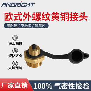 Copper <b>Quick</b> Coupler 1/4 Inch Male Thread Pneumatic Air Hose <b>Connector</b> Insert Type - Product Image 5