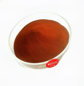 大人とティーンエイジャーのためのビーガンプロテインチョコレートパウダーサプリメント、若々しい筋肉の維持を助ける美容製品 - Product Image 2