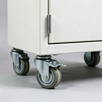 Armoire mobile de laboratoire à porte simple tout acier avec roulettes pour un rangement flexible sous le banc et une utilisation comme poste de travail en laboratoire