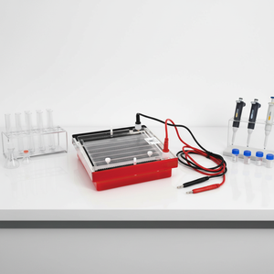 CHINCAN DYCP-44P Horizontal Nucleic Acid Electrophoresis System 2000ml OEM <b>Plastic</b> - Product Image 4
