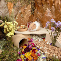 Hamster-Spielplattform aus Holz für Zwerg-Syrische Hamster, Gerbils, Mäuse, Degus oder Andere Kleintiere - Dreieckig - 15 cm Höhe, Naturholzfarben