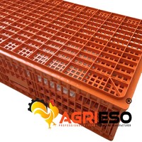 Caisse de transport en plastique pour volailles, boîte de manutention pour poulets de chair, poules pondeuses et poussins, solution d'équipement pour projets d'élevage de poulets vivants