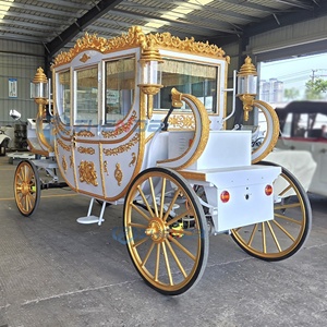 Carruaje de Caballos Eléctrico de Lujo para Transporte Especial, Estilo Moderno para Bodas Reales, Tipo Cenicienta - Product Image 5