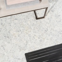 Projets commerciaux : Mosaïque de marbre blanc de Carrare authentique, naturel, vieilli, poli, découpé au jet d'eau, pour piscines et villas
