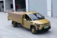Vente à chaud petit camion de fret New Energy VAN Truck à bas prix