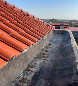 Revestimiento Impermeable de Caucho Rojo Chino, Garantía de 5 Años, Alta Resistencia, Ecológico, <span class=keywords><strong>para</strong></span> Techos, <span class=keywords><strong>Mejor</strong></span> Precio - Product Image 5