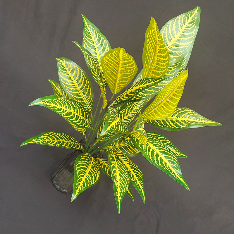 Árbol cebra amarillo