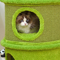 Arbre à chat cylindrique haut de gamme en bambou et sisal, avec lit pour chat tout-en-un, lavable, multicouche, moderne et personnalisé