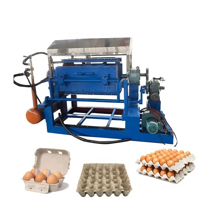 Automático Egg Tray e Egg Carton Making Machine Waste Pulp Paper Recycle Line