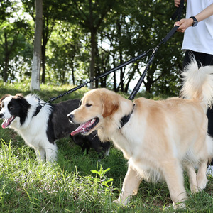 Guinzaglio per cani doppio per cani di taglia media e grande senza groviglio doppio piombo per animali domestici, guinzaglio Modulare regolabile con Hardware resistente - Product Image 2