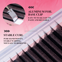 DANIKE Premade Easy Fans 6D W Extension de cils 0.07mm D Curl Mix Longueur 100% Fans de volume super doux faits à la main
