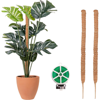 Poteau en mousse durable de 50 pouces, écologique, biodégradable, léger, pour plantes grimpantes d'intérieur – Pliable et empilable, en fibre de coco